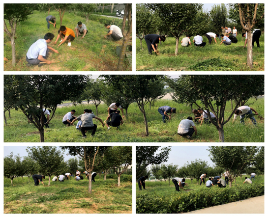 “创建文明校园、志愿者在行动”系列活动实录（二）